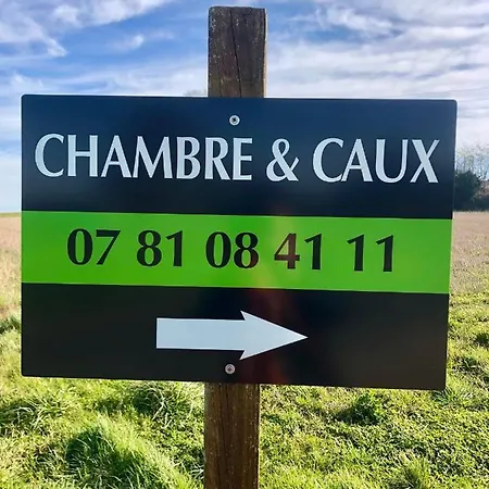 & Caux * Thiergeville